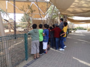 Al Ain Zoo - AbuBakrShalabi - My Science Skills