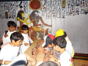 Science Festival - Abu Bakr Shalabi - My Science Skills
