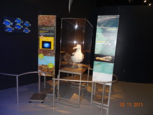 Water is Life - AbuBakrShalabi - My Science Skills